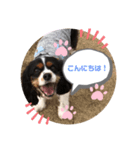 サブスタンプ3（個別スタンプ：3）