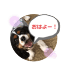 サブスタンプ3（個別スタンプ：6）