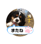 サブスタンプ3（個別スタンプ：7）