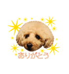 ルカのスタンプです（個別スタンプ：1）