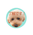 ルカのスタンプです（個別スタンプ：10）