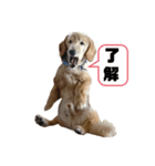 モメ様（個別スタンプ：4）