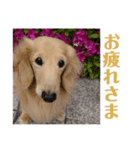 モメ様（個別スタンプ：8）