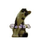 My cat'sੈ✩（個別スタンプ：4）
