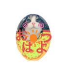 ほたてくんとつぶ男くん（個別スタンプ：1）
