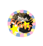 ほたてくんとつぶ男くん（個別スタンプ：2）