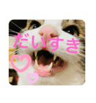 ほたてくんとつぶ男くん（個別スタンプ：5）