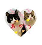 ほたてくんとつぶ男くん（個別スタンプ：8）