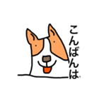 ジャック犬（個別スタンプ：29）