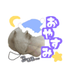 ハムスターかぶちゃん（個別スタンプ：2）