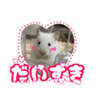 ハムスターかぶちゃん（個別スタンプ：5）