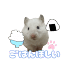 ハムスターかぶちゃん（個別スタンプ：14）