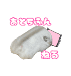 ハムスターかぶちゃん（個別スタンプ：16）
