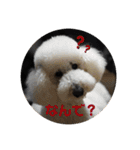 はくれあの気持ち（個別スタンプ：2）