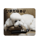 はくれあの気持ち（個別スタンプ：3）