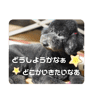 はくれあの気持ち（個別スタンプ：8）