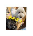 はくれあの気持ち（個別スタンプ：9）
