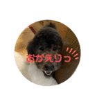 はくれあの気持ち（個別スタンプ：10）
