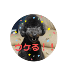 はくれあの気持ち（個別スタンプ：11）