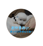 はくれあの気持ち（個別スタンプ：12）