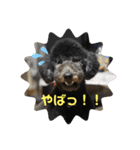 はくれあの気持ち（個別スタンプ：15）