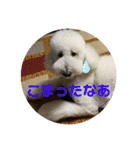 はくれあの気持ち（個別スタンプ：17）