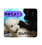 はくれあの気持ち（個別スタンプ：18）