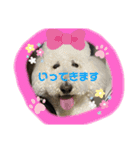 はくれあの気持ち（個別スタンプ：19）