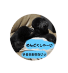 はくれあの気持ち（個別スタンプ：22）