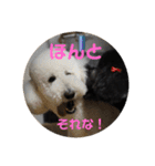 はくれあの気持ち（個別スタンプ：24）