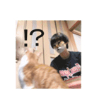 盆(猫)（個別スタンプ：24）