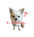 おケロさん（個別スタンプ：1）