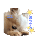 おケロさん（個別スタンプ：2）