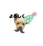 可愛い家の犬スタンプ（個別スタンプ：2）