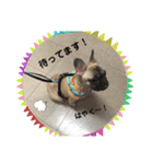 コムギ2（個別スタンプ：3）