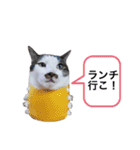おんまゆちゃんスタンプ3（個別スタンプ：4）