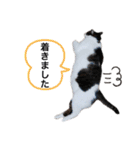 おんまゆちゃんスタンプ3（個別スタンプ：7）
