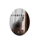 おんまゆちゃんスタンプ3（個別スタンプ：14）
