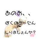 ぼくだふぃー。（個別スタンプ：4）