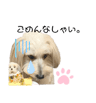 ぼくだふぃー。（個別スタンプ：12）