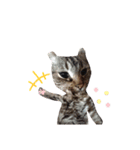 うちの猫、ポジです。（個別スタンプ：14）