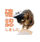 かぎさんと紫苑（個別スタンプ：9）