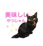 かぎさんと紫苑（個別スタンプ：16）