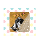 ココロと一緒♪（個別スタンプ：7）