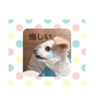 シンちゃんの気持ち（個別スタンプ：2）
