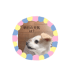 シンちゃんの気持ち（個別スタンプ：3）