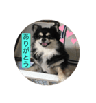 クロ、ポチのスタンプ！（個別スタンプ：4）