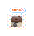 クロクマジャンガリアン（個別スタンプ：8）