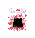 クロクマジャンガリアン（個別スタンプ：14）