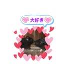 クロクマジャンガリアン（個別スタンプ：15）